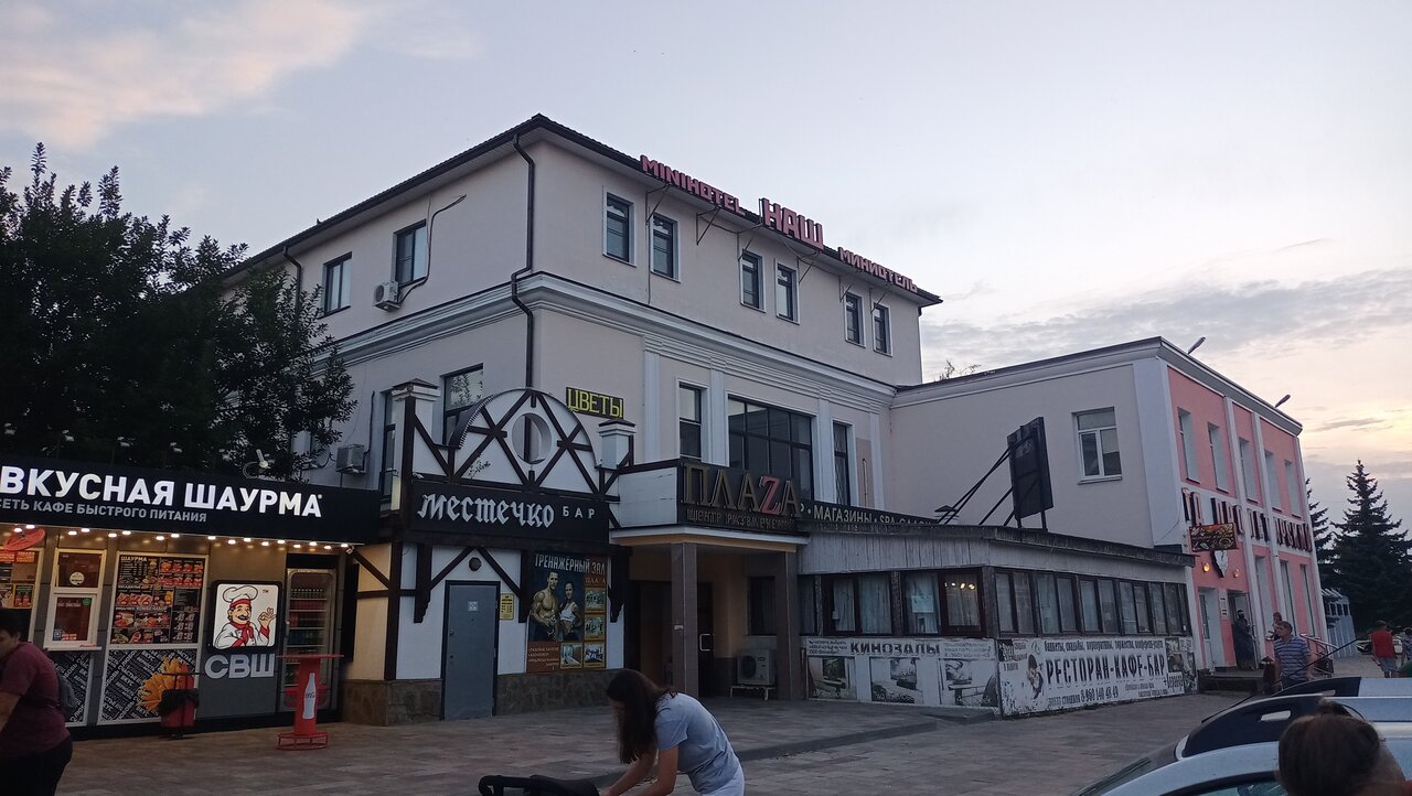 Гостиница Наш Чаплыгин-100