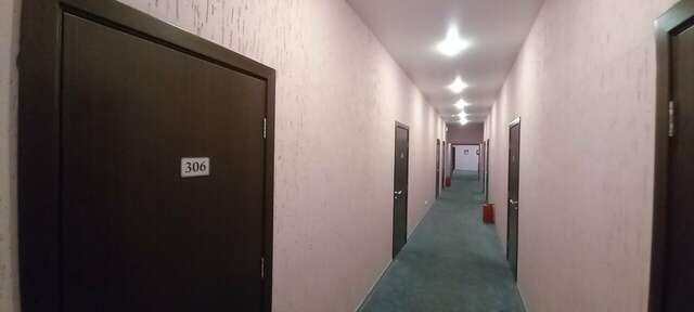 Гостиница Наш Чаплыгин-100